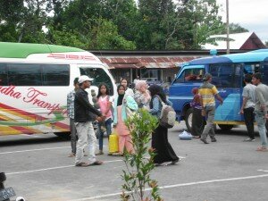 image-351